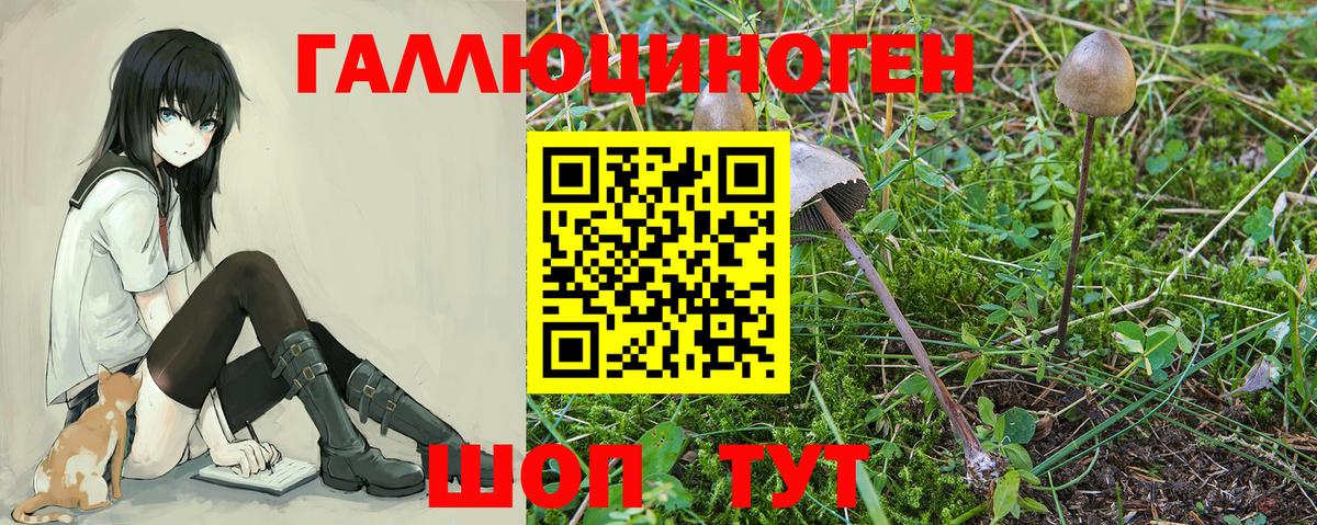 Нурлат  Кокаин  АМФ   Alpha PVP СК кристаллы  ГАШИШ  Мефедрон кристаллы  MDMA  Вход с VPN  Каннабис 