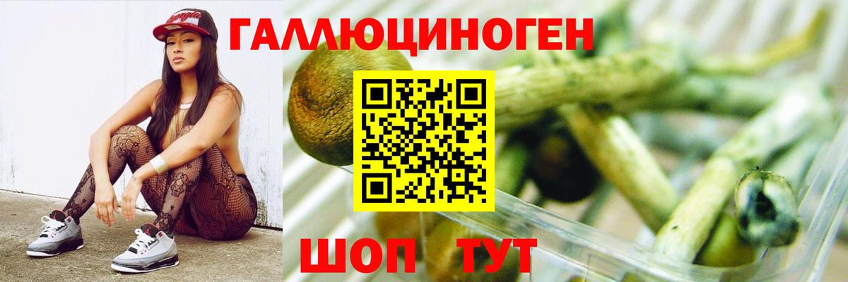 Нурлат  Галлюциногенные грибы GOLDEN TEACHER  Вход с VPN  где купить наркотик  Галлюциногенные грибы Cubensis 